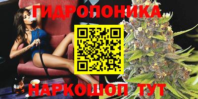 a pvp Чапаевск