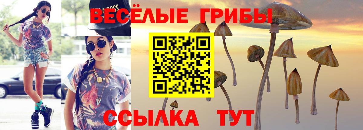 Моздок  Псилоцибиновые грибы прущие грибы  Вход с VPN 
